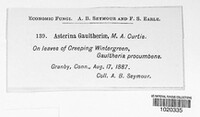Image Associated With the Occurence